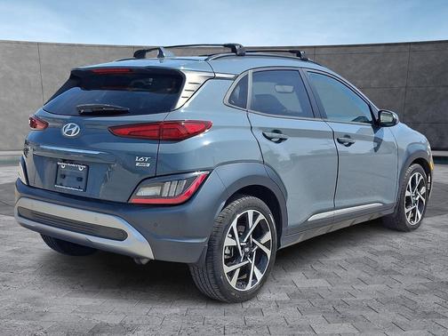 Cactus Fern 2022 Hyundai KONA Limited