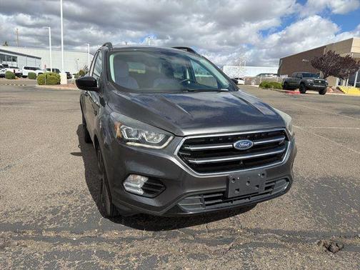 Magnetic 2018 Ford Escape SE