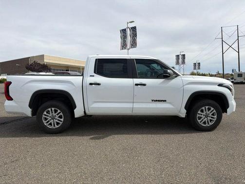 Ice Cap 2025 Toyota Tundra SR5