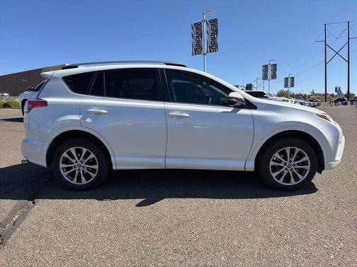 Blizzard Pearl 2018 Toyota RAV4 Platinum