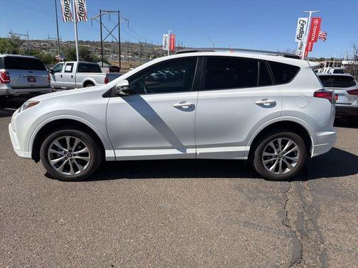 Blizzard Pearl 2018 Toyota RAV4 Platinum