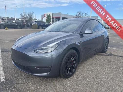2023 Tesla Model Y Performance Dual Motor All-Wheel Drive