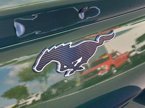 Green Metallic 2025 Ford Mustang Mach-E Premium