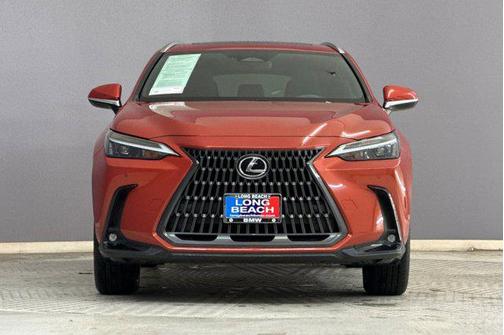 2024 Lexus NX 250 Premium