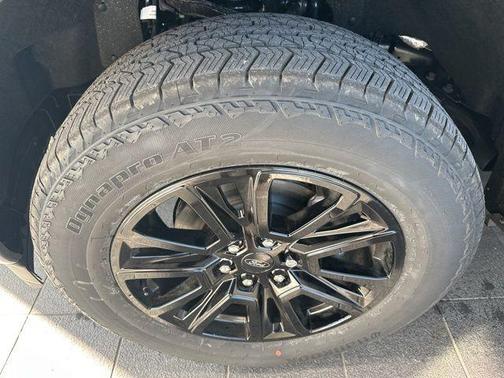 Carbonized Gray Metallic 2026 Ford F-150 Platinum