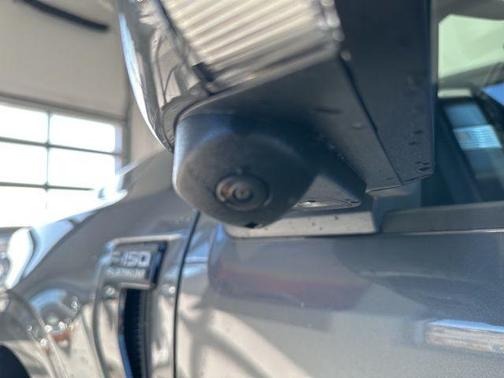 Carbonized Gray Metallic 2026 Ford F-150 Platinum