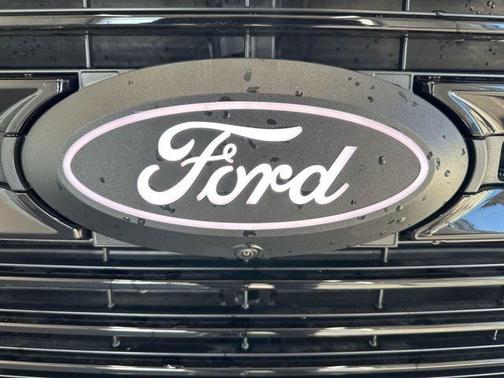 Carbonized Gray Metallic 2026 Ford F-150 Platinum