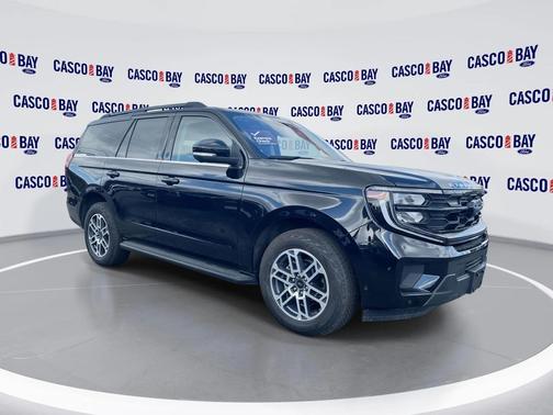 AGATE BLACK METALLIC 2025 Ford Expedition Active