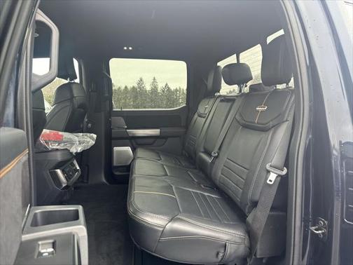 2024 Ford F-250 Platinum