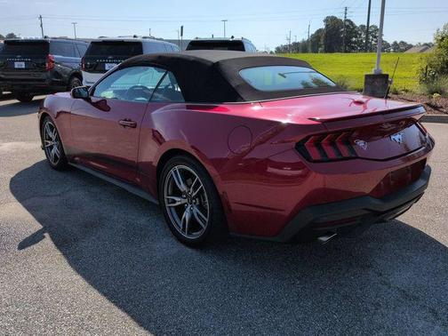 RAPID RED MET TINTED CC 2024 Ford Mustang EcoBoost Premium