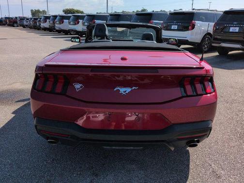 RAPID RED MET TINTED CC 2024 Ford Mustang EcoBoost Premium