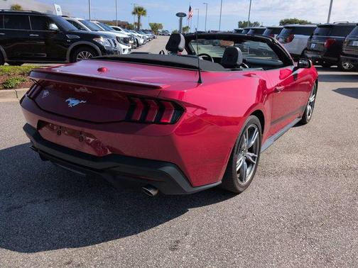 RAPID RED MET TINTED CC 2024 Ford Mustang EcoBoost Premium