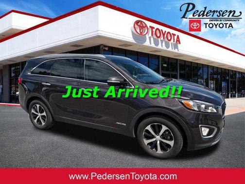 Polished Walnut 2017 Kia Sorento EX