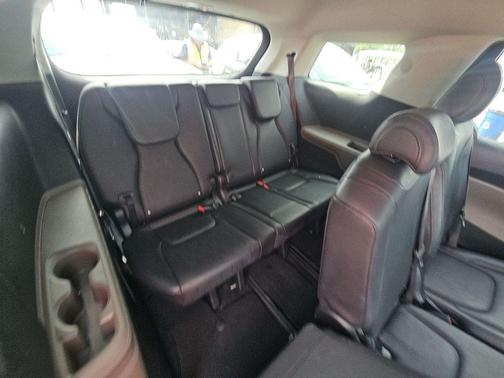 Panthera Metal 2025 Kia Carnival LXS
