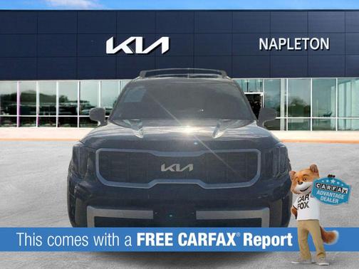 Panthera Metal 2025 Kia Telluride S