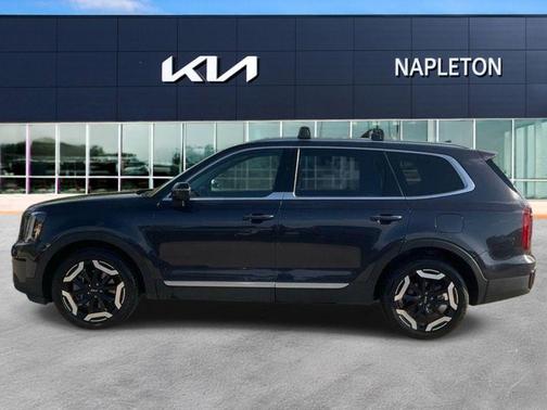 Panthera Metal 2025 Kia Telluride S