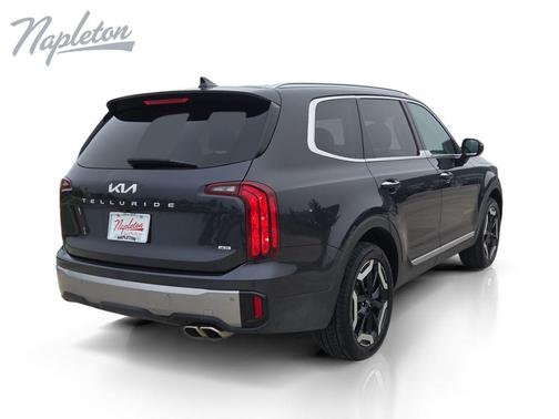 Panthera Metal 2025 Kia Telluride S