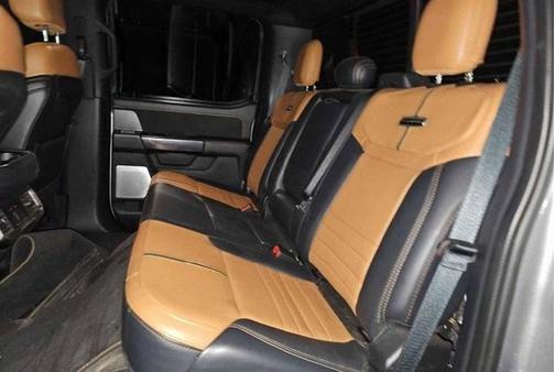 2021 Ford F-150 Platinum