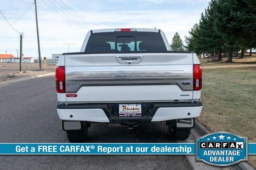 2020 Ford F-150 Platinum