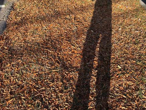 2018 GMC Sierra 1500 Base