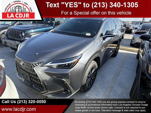 2024 Lexus NX 250 Premium