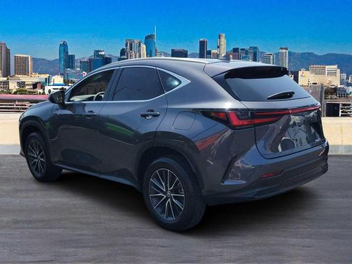2024 Lexus NX 250 Premium