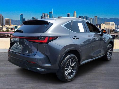 2024 Lexus NX 250 Premium