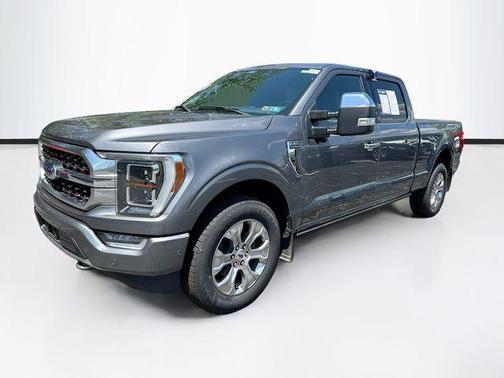 Gray Metallic 2022 Ford F-150 Platinum