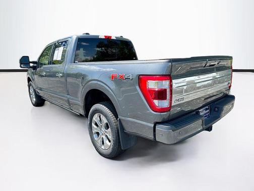 Gray Metallic 2022 Ford F-150 Platinum