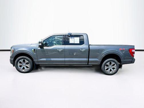 Gray Metallic 2022 Ford F-150 Platinum