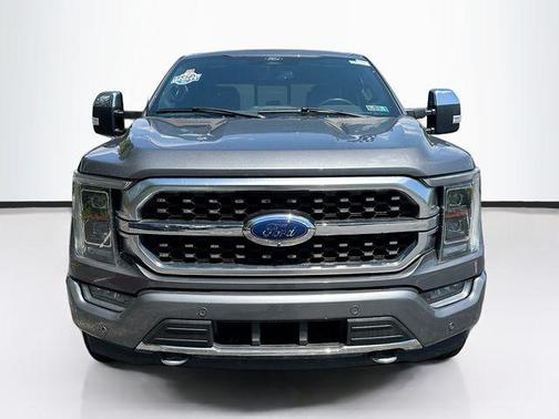 Gray Metallic 2022 Ford F-150 Platinum