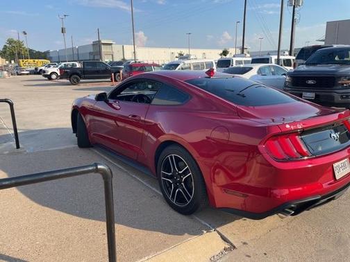 2021 Ford Mustang EcoBoost