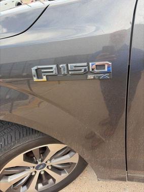 Magnetic 2019 Ford F-150 XL