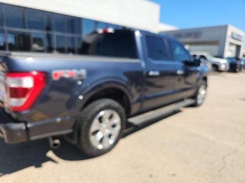 2022 Ford F-150 Platinum