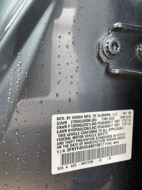 Alabaster Silver Metallic 2010 Honda Pilot EX-L