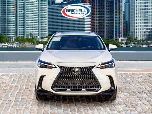 2024 Lexus NX 250 Premium
