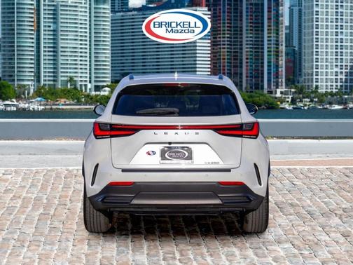 2024 Lexus NX 250 Premium