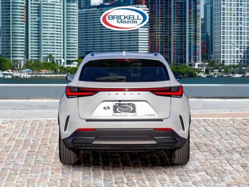 2024 Lexus NX 250 Premium