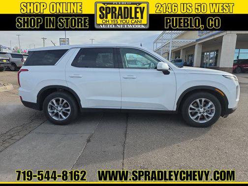 2020 Hyundai PALISADE SE