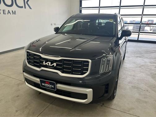 Panthera Metal 2025 Kia Telluride S