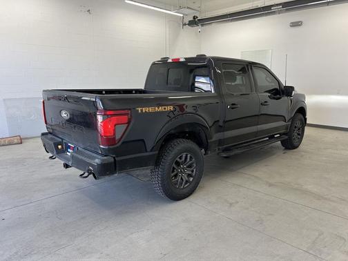 Agate Black 2025 Ford F-150 Tremor