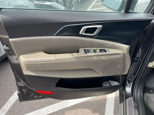 Panthera Metal 2025 Kia Carnival LXS