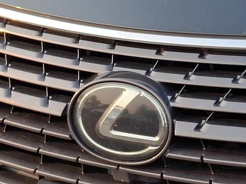 2019 Lexus NX 300 NX 300 F SPORT