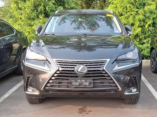 2019 Lexus NX 300 NX 300 F SPORT