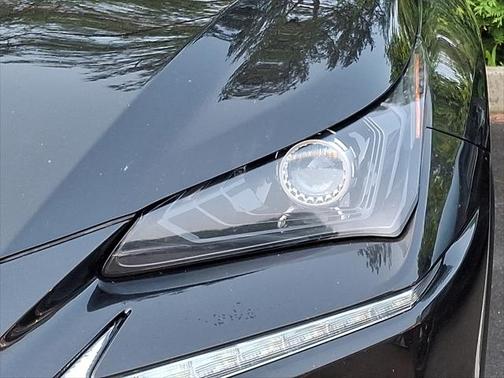 2019 Lexus NX 300 NX 300 F SPORT