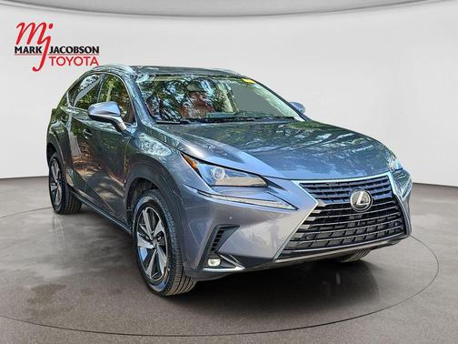Nebula Gray Pearl 2020 Lexus NX 300 Base