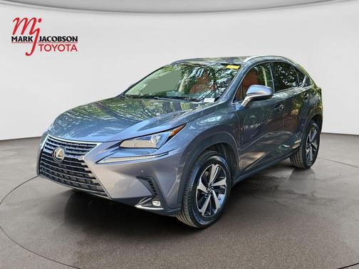Nebula Gray Pearl 2020 Lexus NX 300 Base