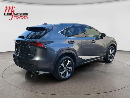 Nebula Gray Pearl 2020 Lexus NX 300 Base