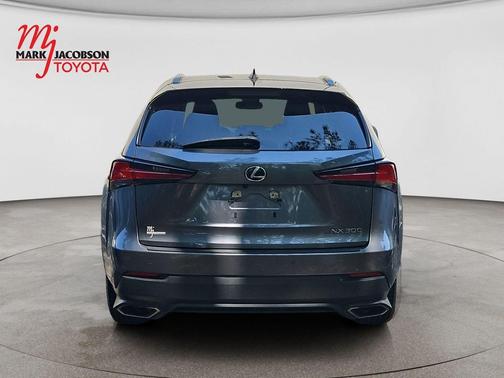 Nebula Gray Pearl 2020 Lexus NX 300 Base