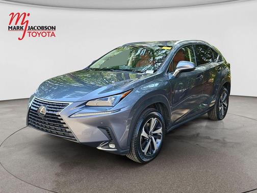 Nebula Gray Pearl 2020 Lexus NX 300 Base